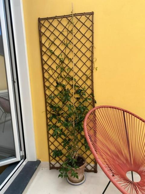 Waterfront Balcony I Grani 5 Resort Grand Suite Livorno Luaran gambar